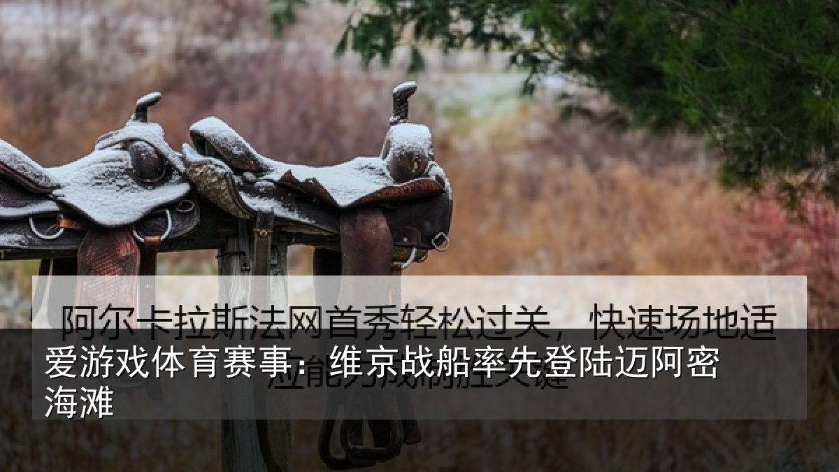 爱游戏体育赛事：维京相关情况密海滩