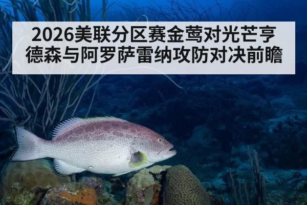 2026美联分区赛金莺对光芒亨德森与阿罗萨雷纳攻防对决前瞻